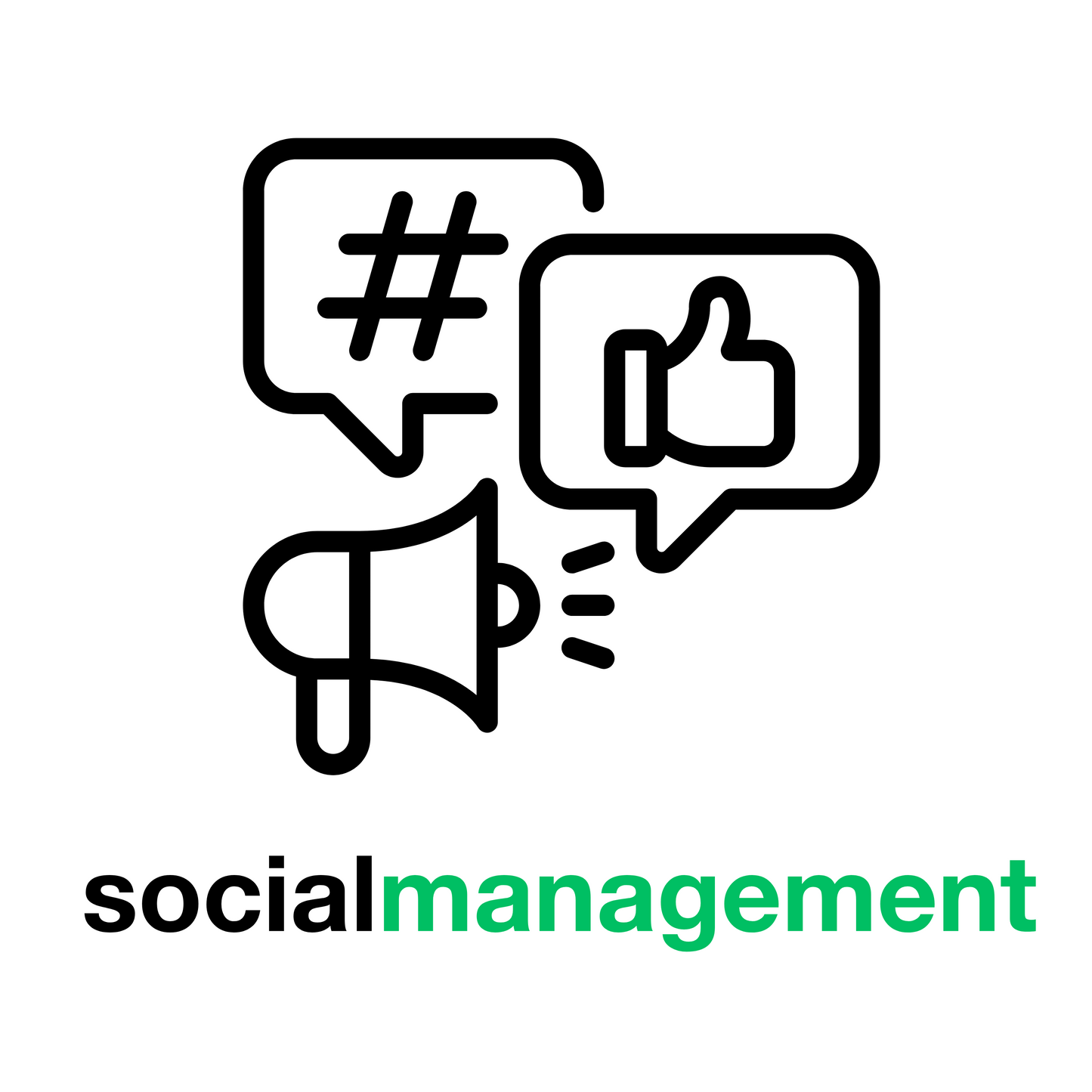 Social Media Management