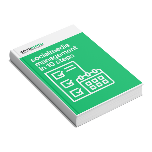 Social Media Management in 10 Steps (Guidebook)